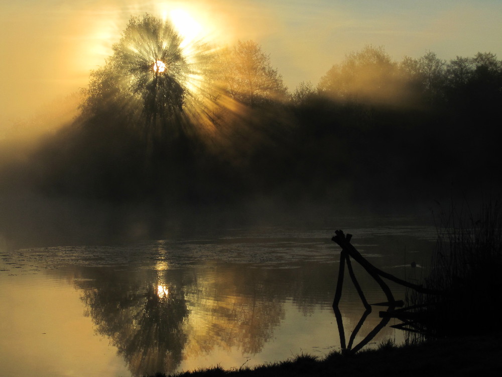 ein Tag beginnt