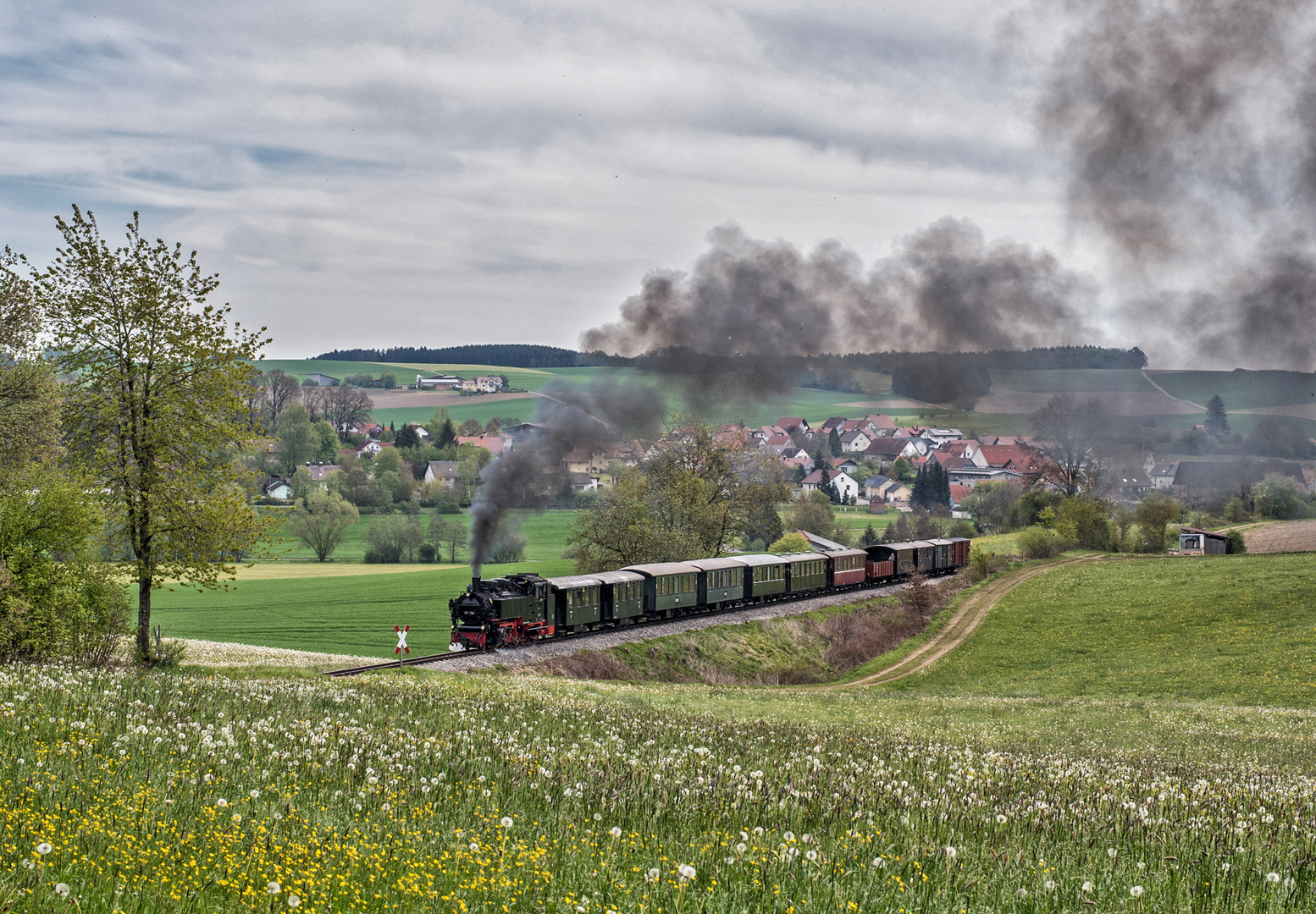 Ein Tag beim Öchsle - VII -