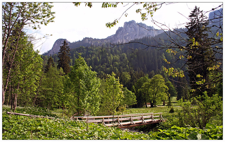 Ein Tag im Allgäu (5) ...