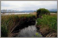 Ein Tag im Allgäu (7) ...