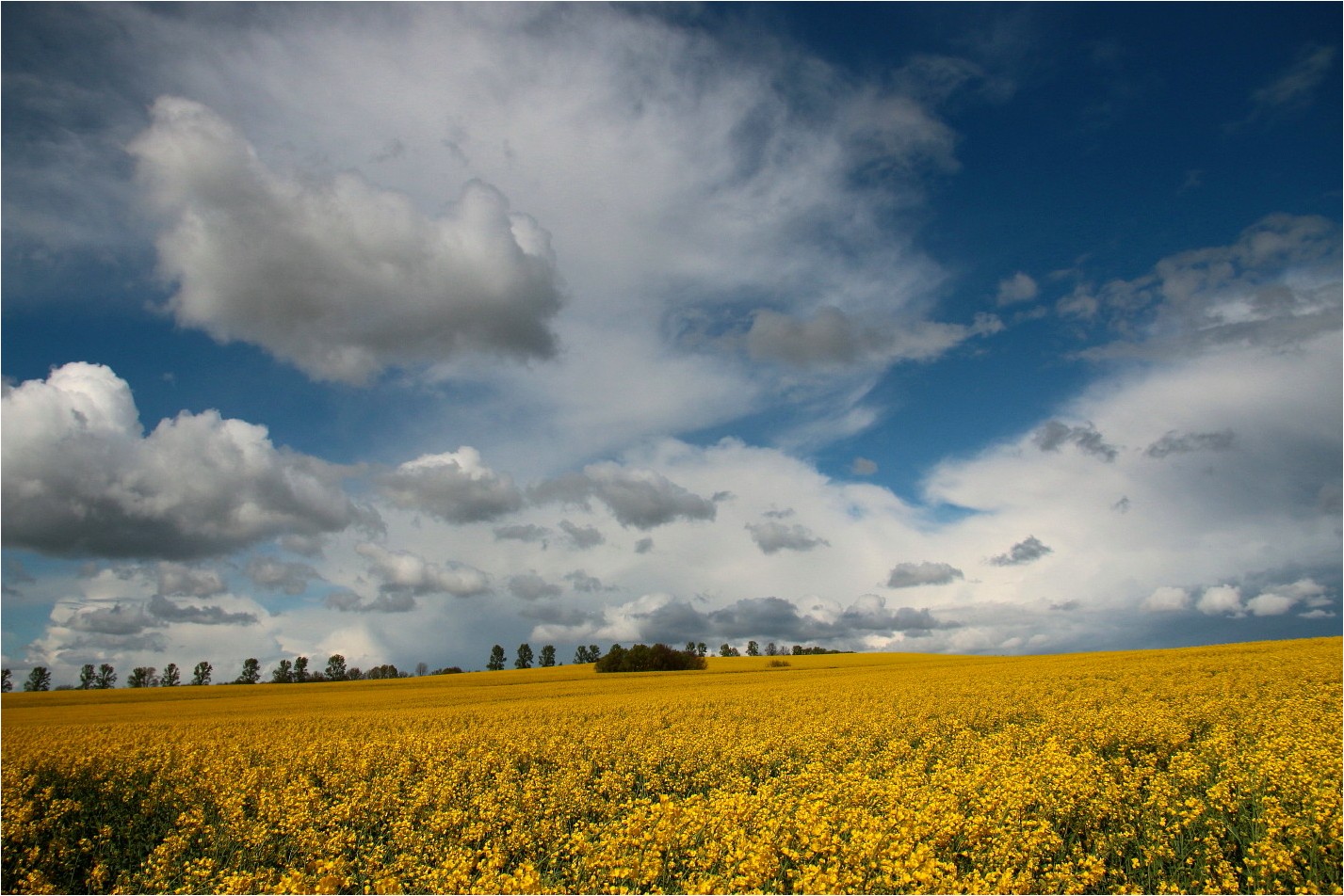 Ein Tag im April (2)