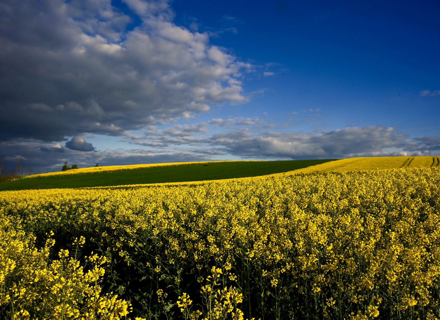 Ein Tag im April...