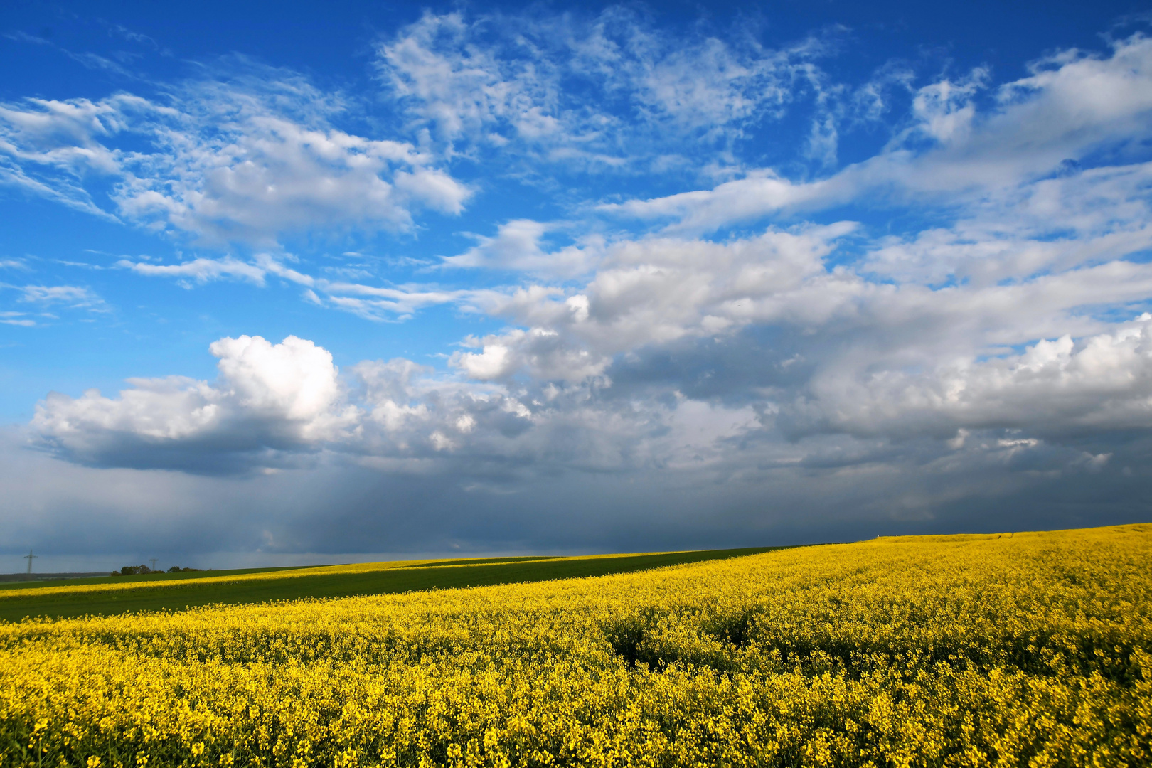 ...ein Tag im April...