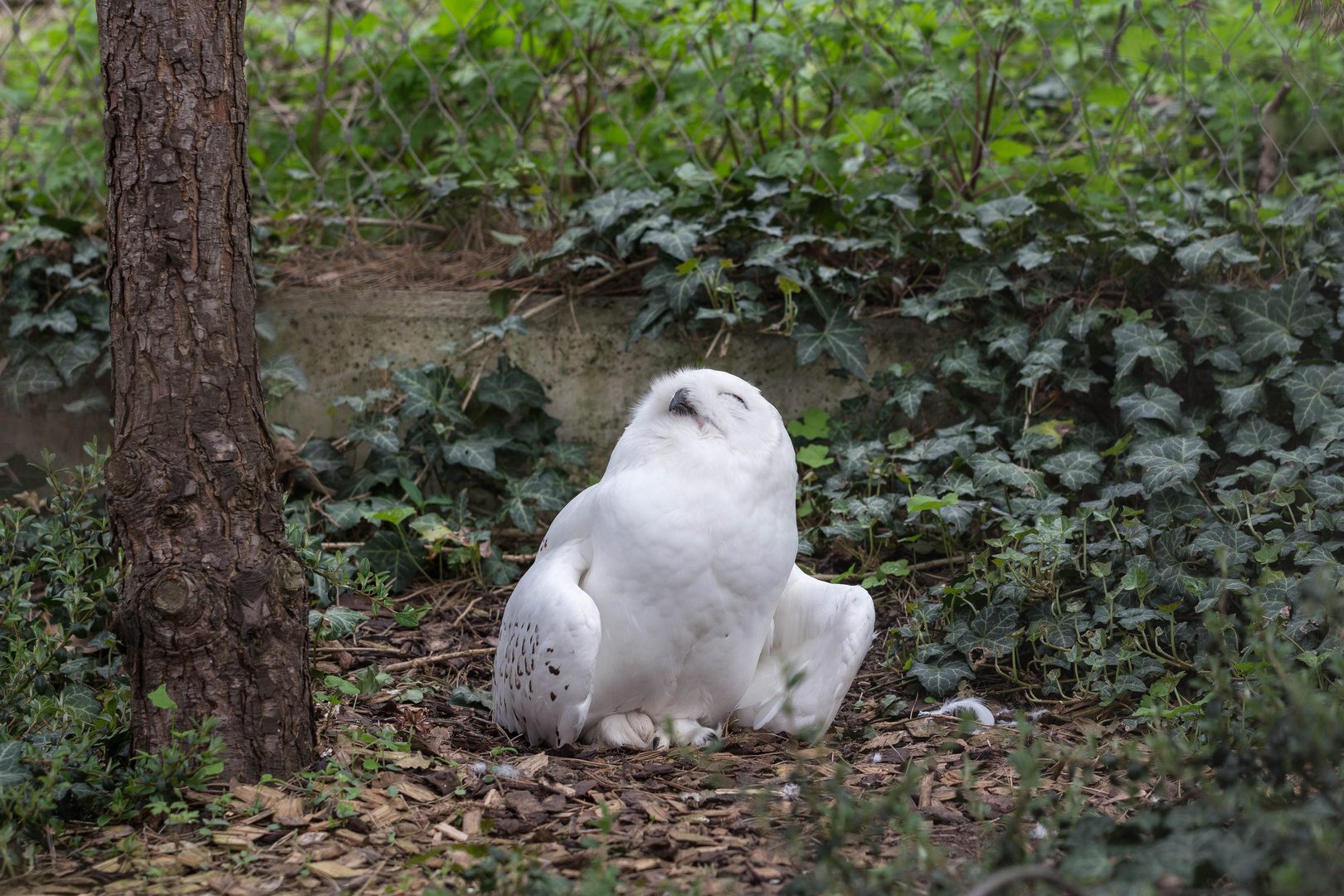 Ein Tag im Bergzoo Halle (Saale) - 02