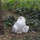 Ein Tag im Bergzoo Halle (Saale) - 02