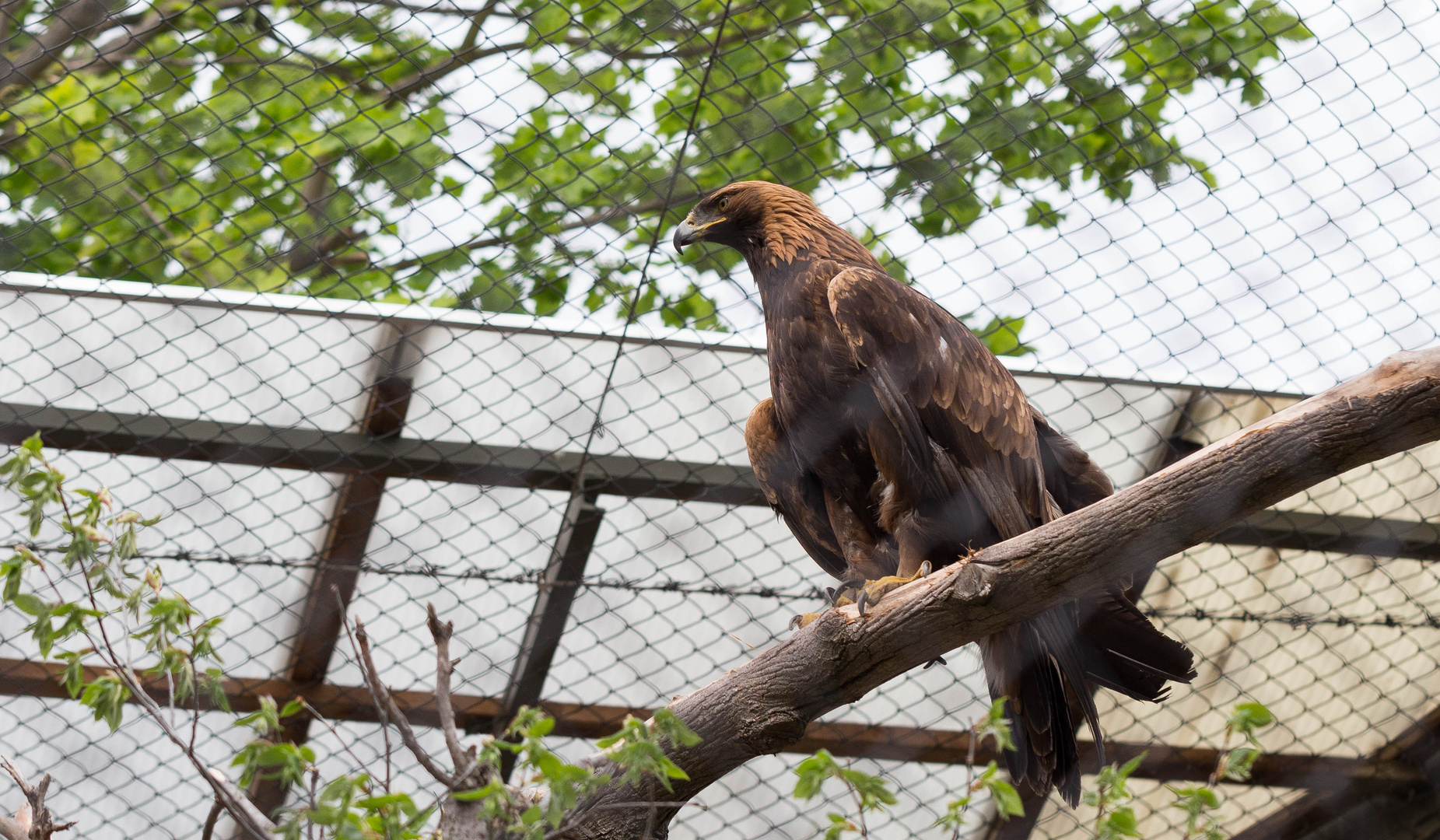 Ein Tag im Bergzoo Halle (Saale) - 07