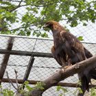 Ein Tag im Bergzoo Halle (Saale) - 07