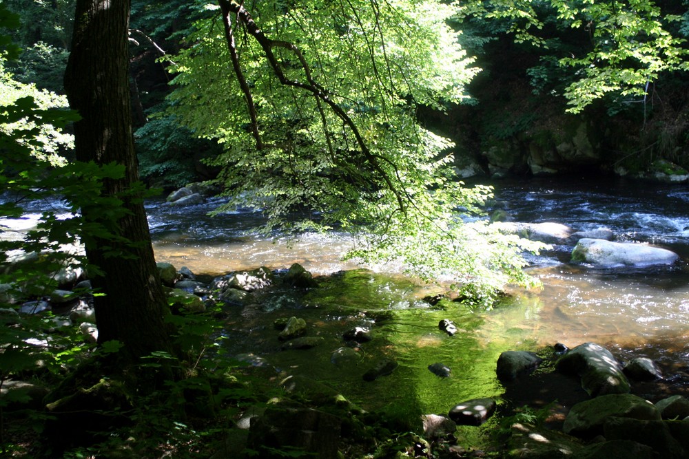 EIn Tag im Bodetal