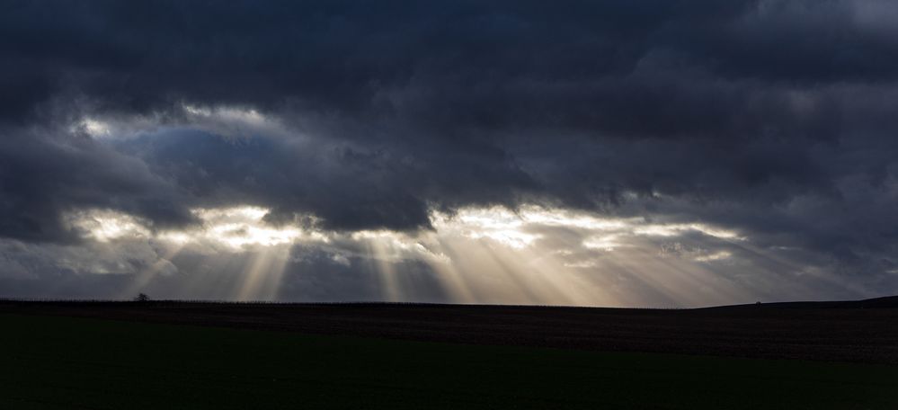 EIN TAG IM FEBRUAR