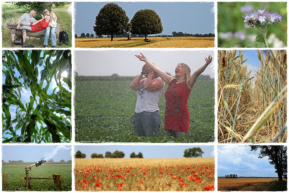 Ein Tag im Feld