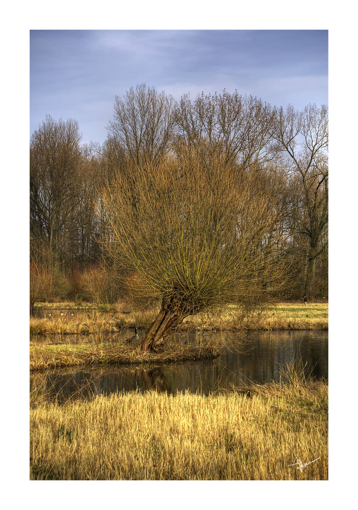 Ein Tag im Frühling