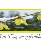 Ein Tag im Frühling