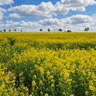 Ein Tag im Frühling