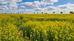 Ein Tag im Frühling