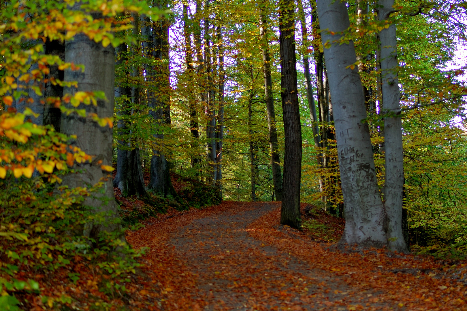 Ein Tag im Herbst