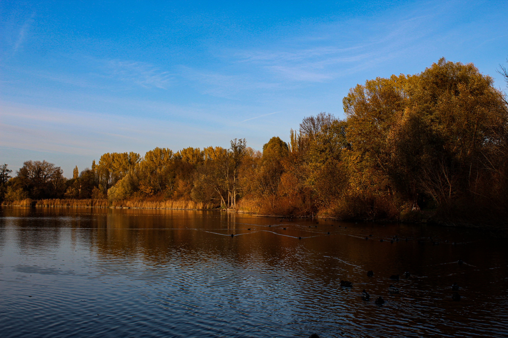 Ein Tag im Herbst