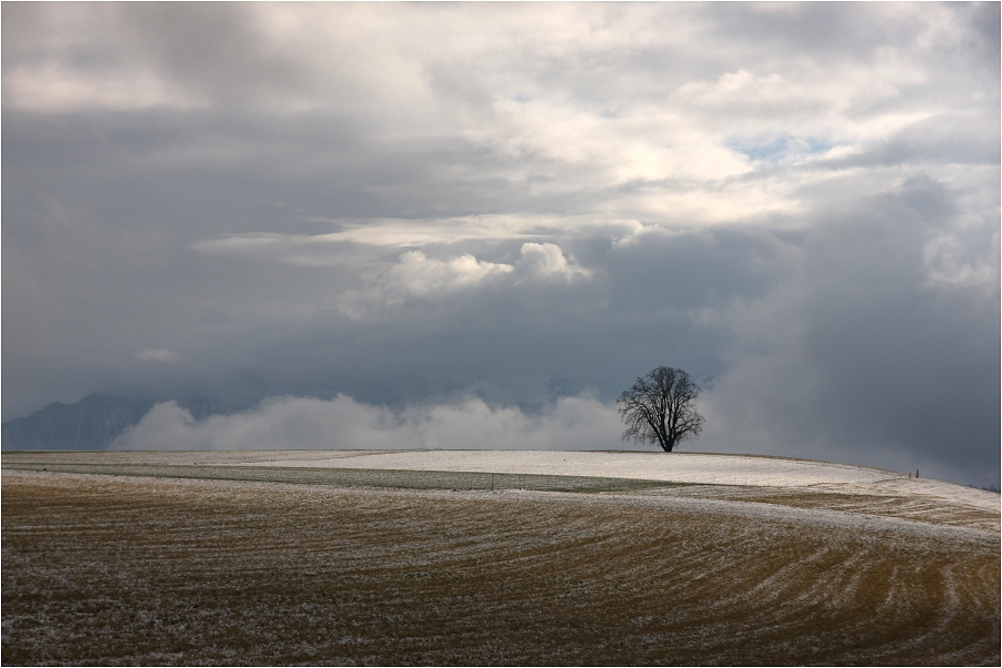 ein Tag im Januar