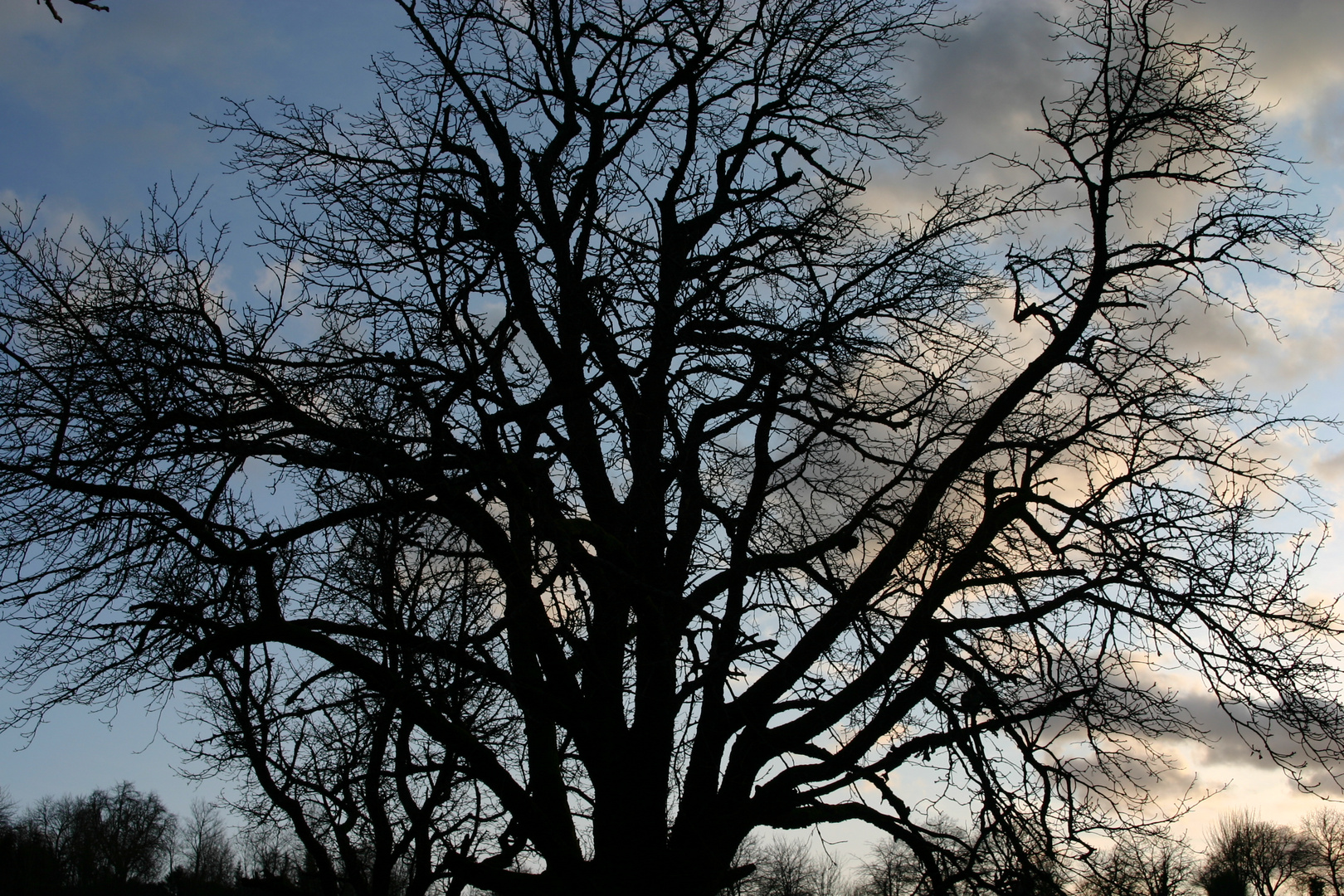 Ein Tag im Januar