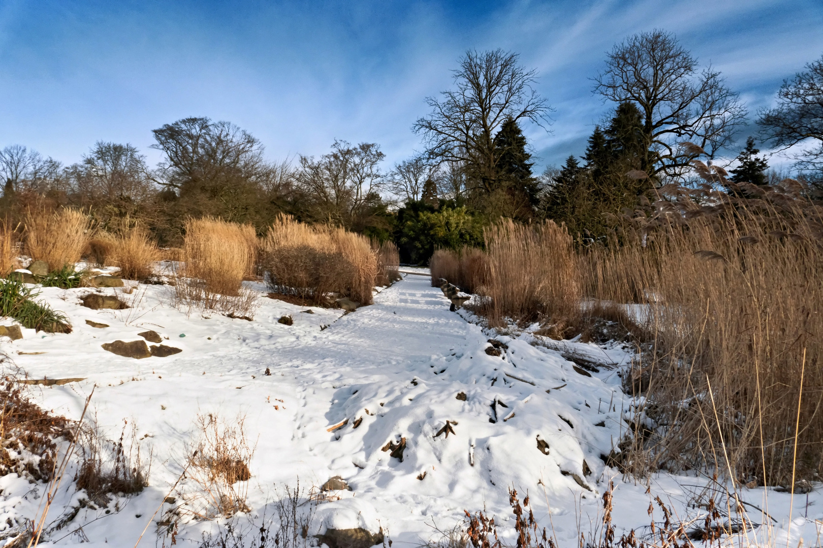 Ein Tag im Januar