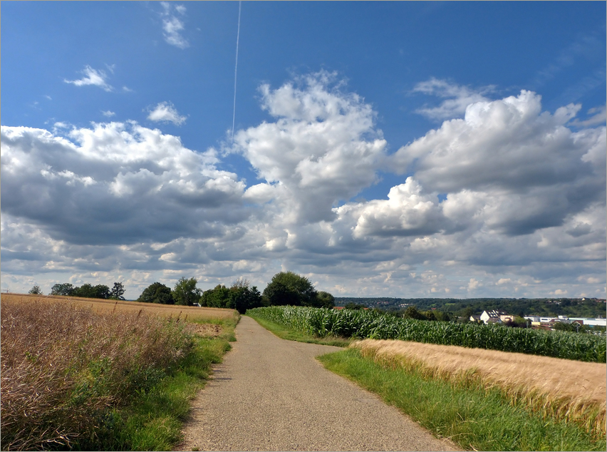 Ein Tag im Juli