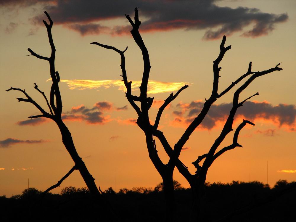 Ein Tag im Kruger-Park geht zu Ende ...