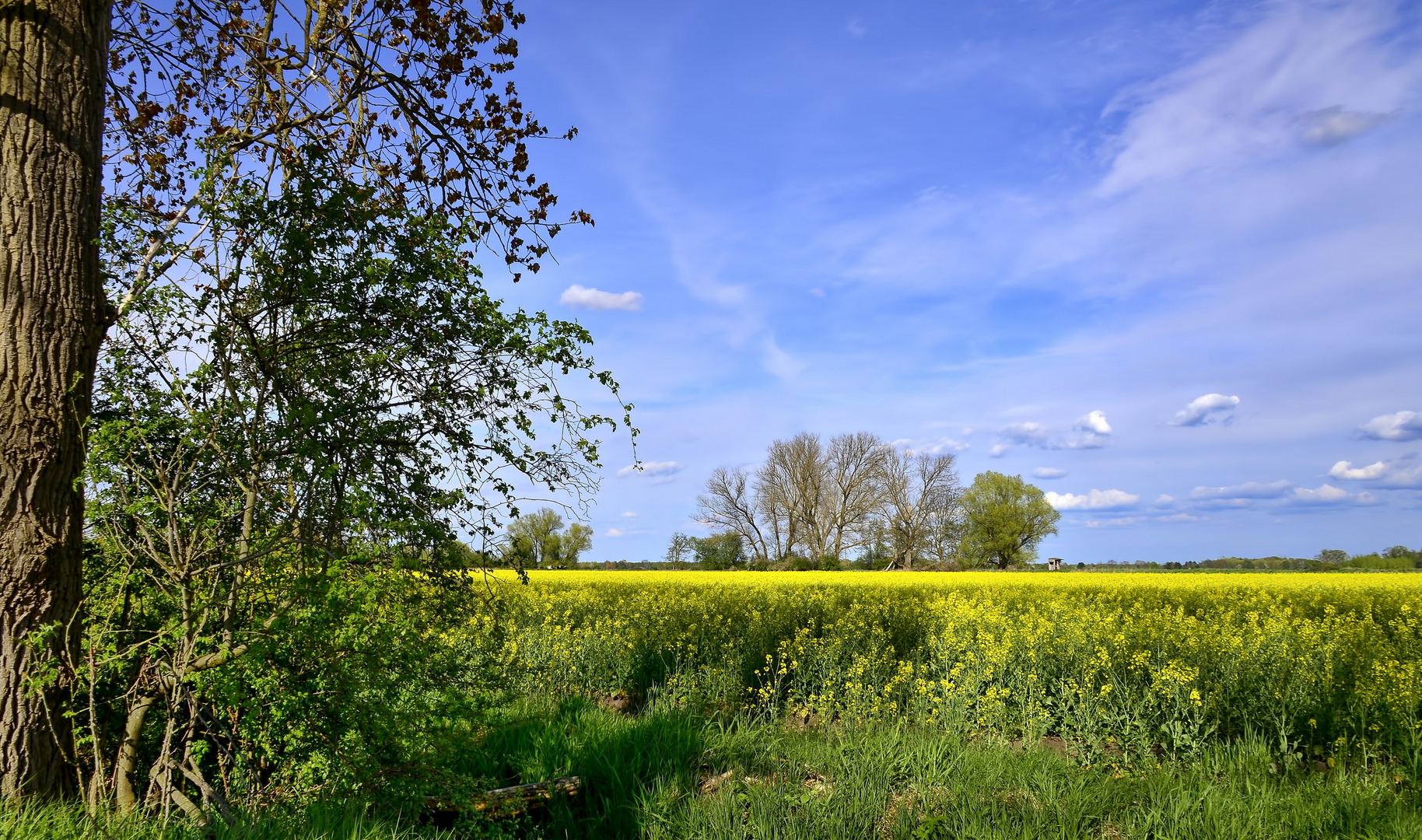 °Ein Tag im Mai° Foto & Bild | landschaft, mai, bäume Bilder auf °Ein Tag im Mai° Foto & Bild | landschaft, mai, bäume Bilder auf