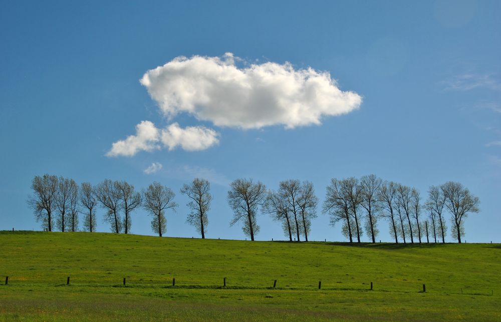 Ein Tag im Mai