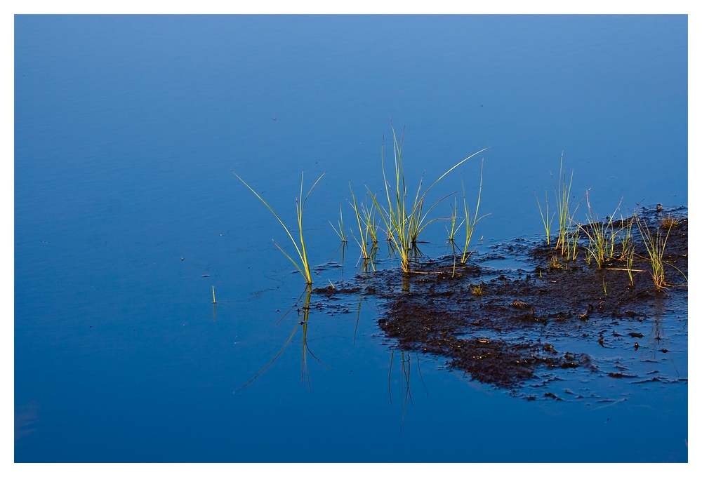 Ein Tag im Moor - 4