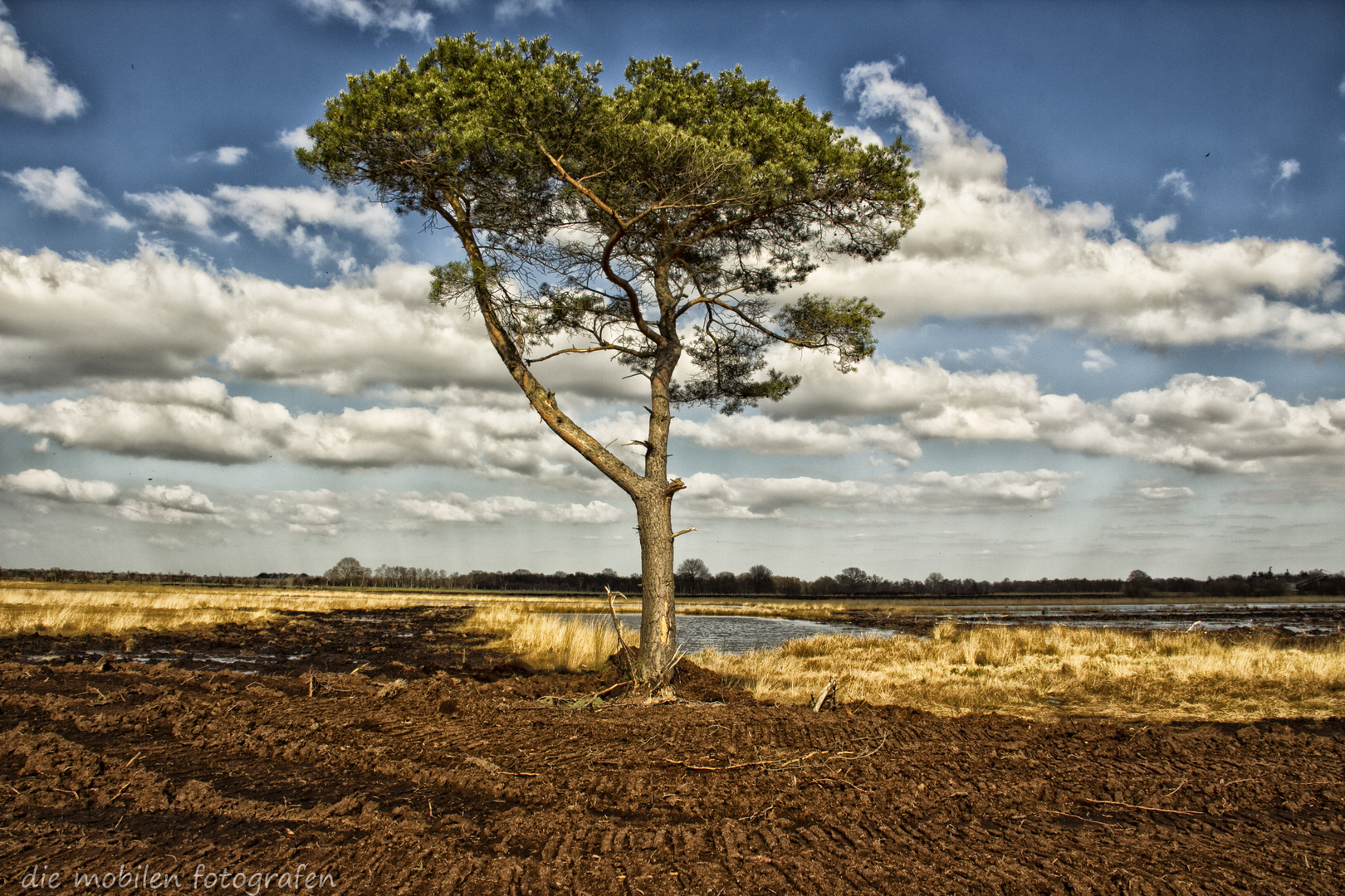 Ein Tag im Moor