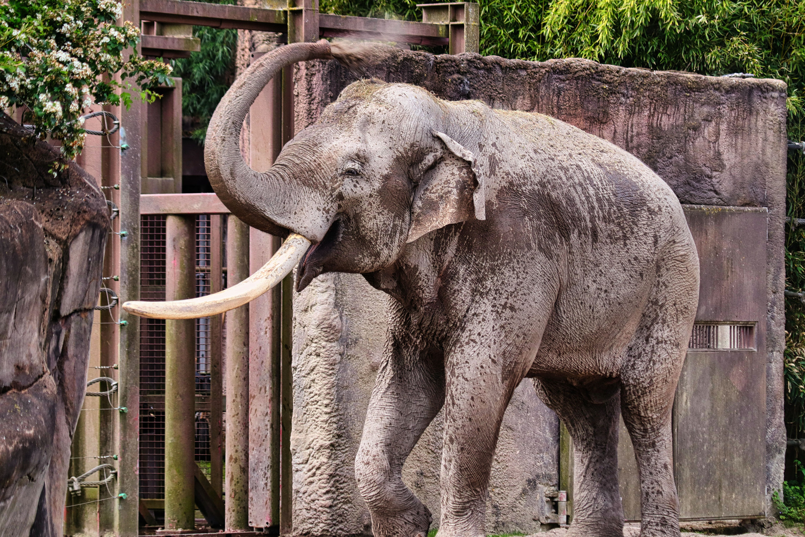 Ein Tag im Münster Zoo