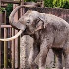 Ein Tag im Münster Zoo