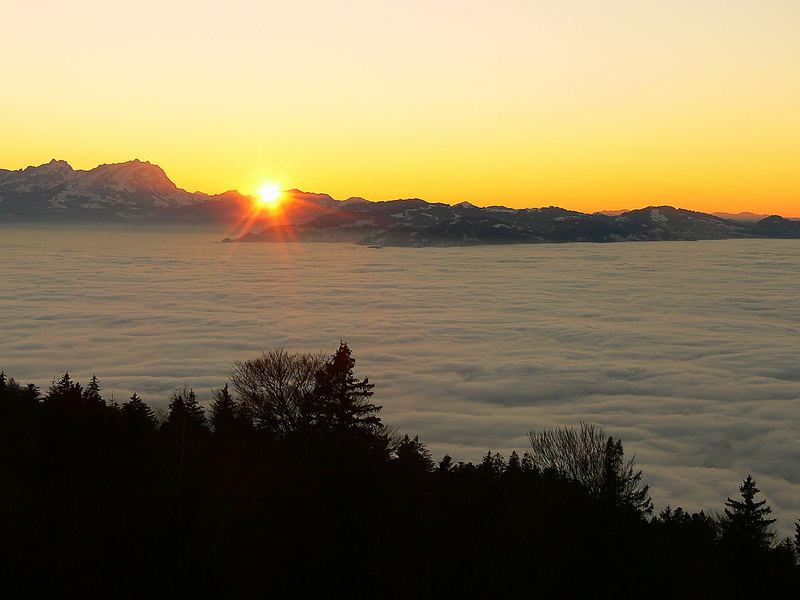 Ein Tag im Nebel