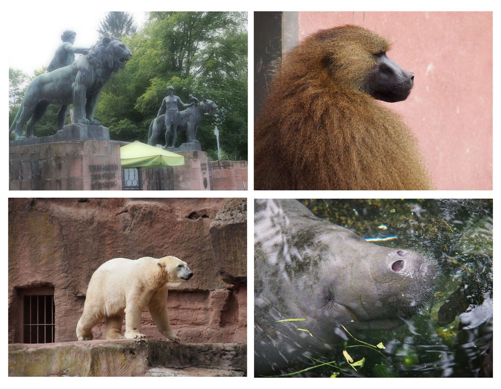 Ein Tag im Nürnberger Zoo