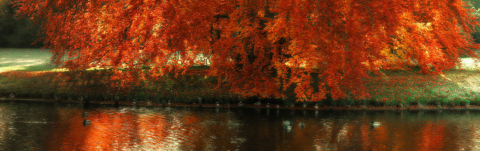 ein Tag im Oktober