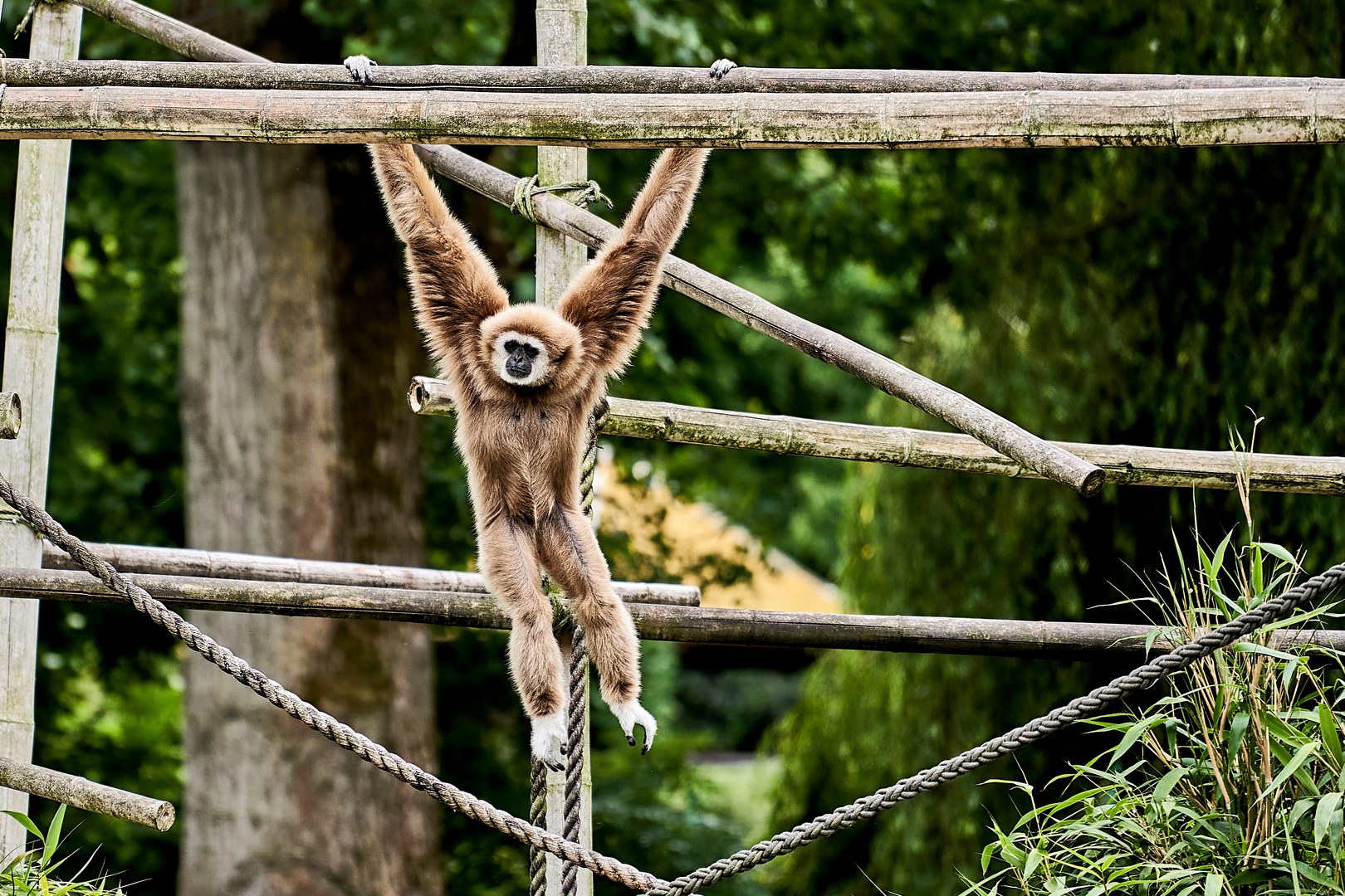 Ein Tag im Opelzoo (Kronberg)