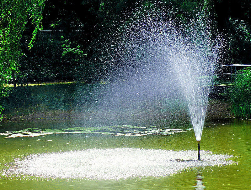 ein tag im park...