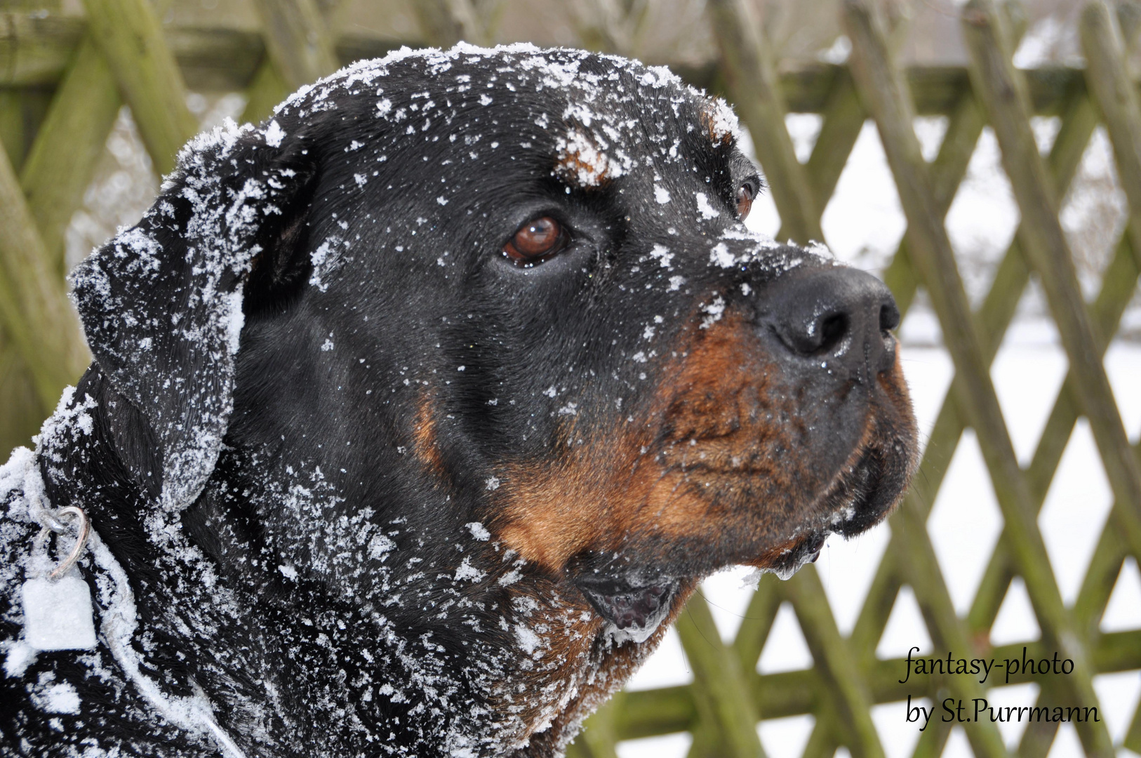 Ein Tag im Schnee !