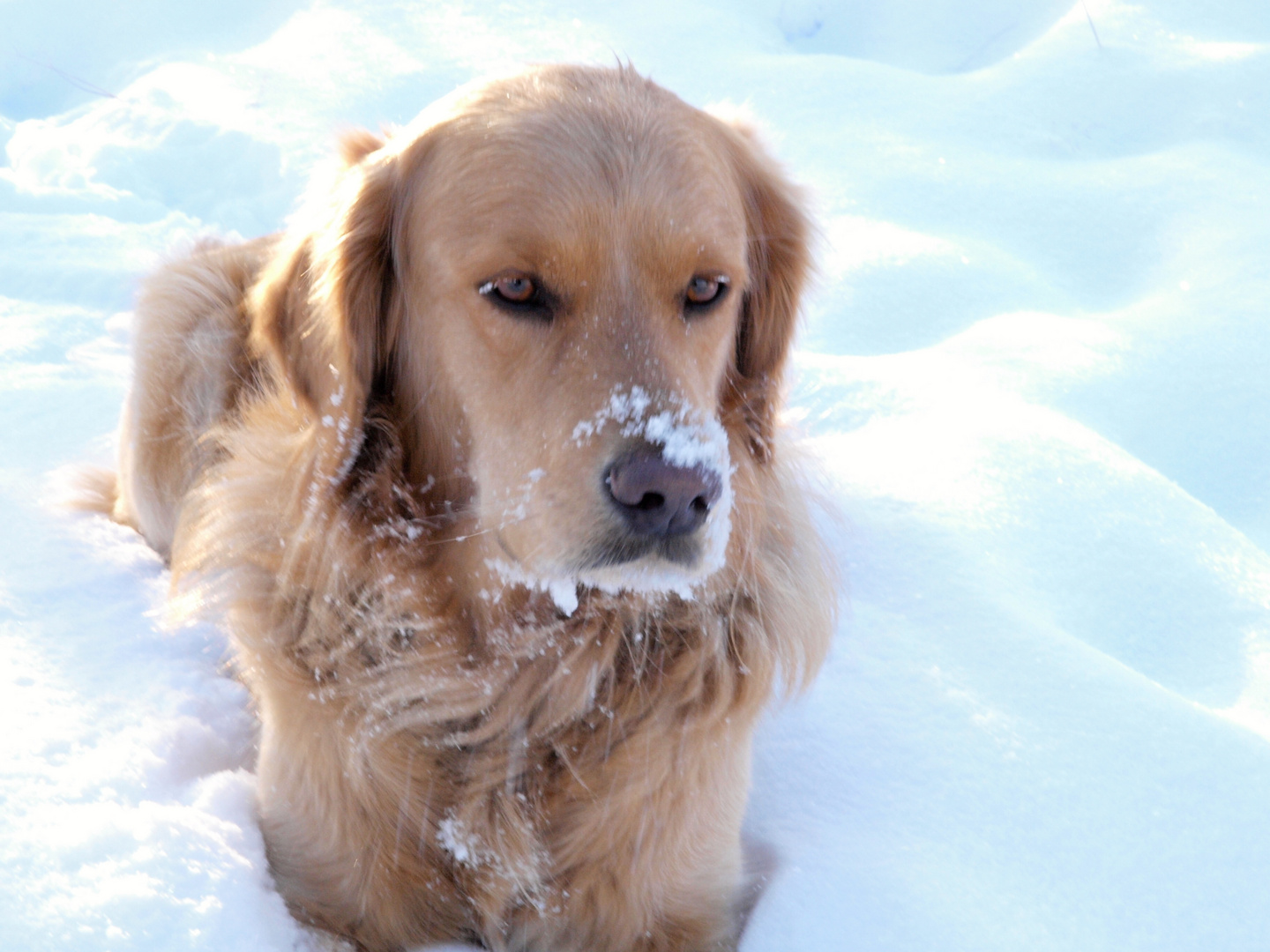 Ein Tag im Schnee