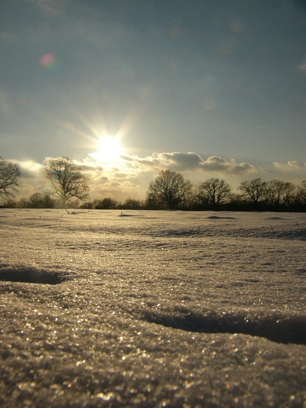 Ein Tag im Schnee