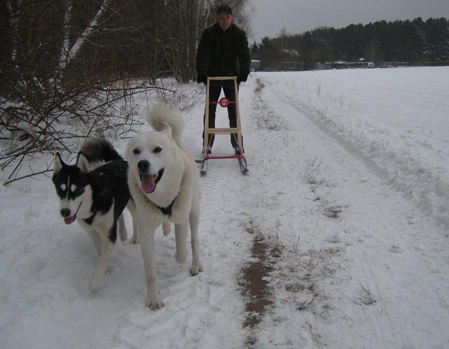 Ein Tag im Schnee...