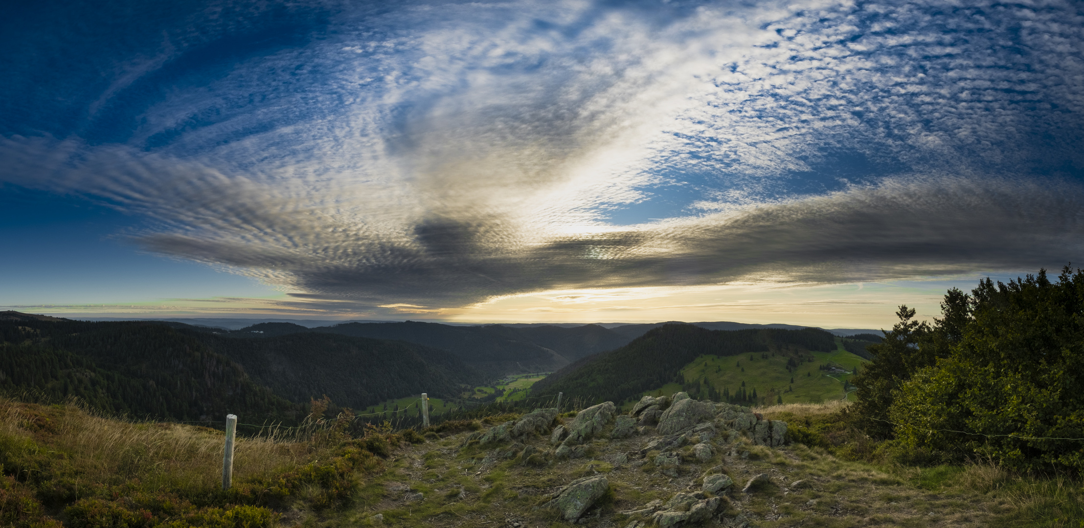 Ein Tag im Schwarzwald (Herzogenhorn & Feldberg)