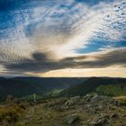 Ein Tag im Schwarzwald (Herzogenhorn & Feldberg)