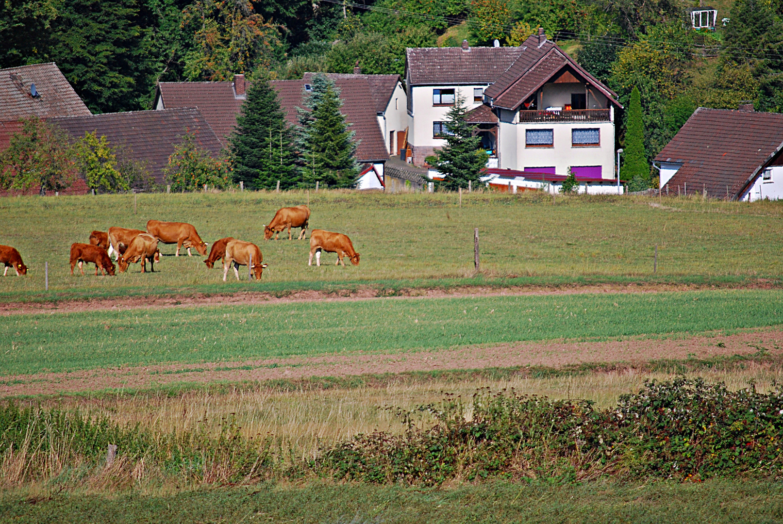 ein Tag im September...