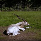 Ein Tag im Tier und Freizeitpark Thüle