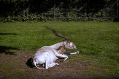 Ein Tag im Tier und Freizeitpark Thüle