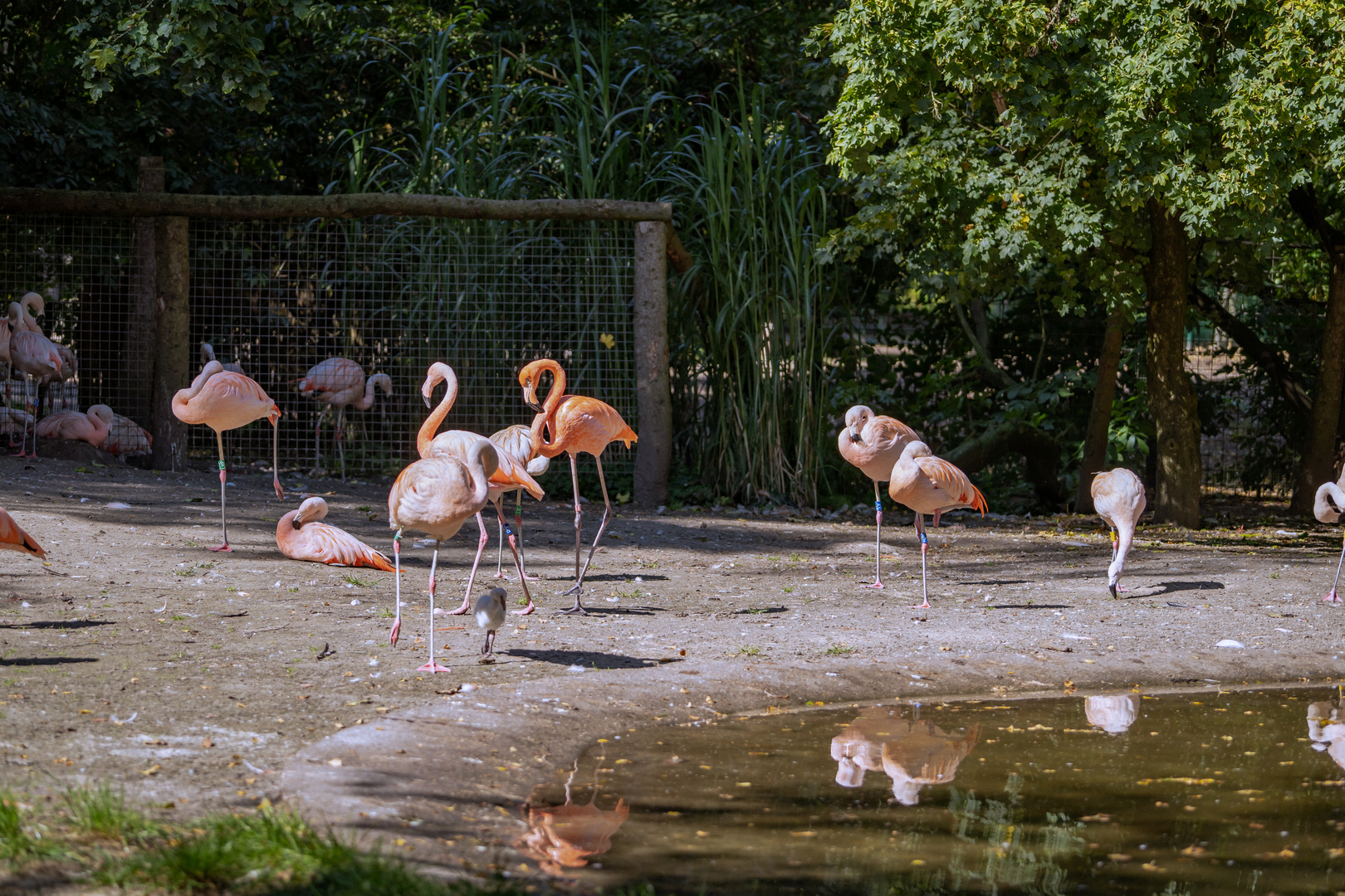 Ein Tag im Tier und Freizeitpark Thüle