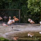 Ein Tag im Tier und Freizeitpark Thüle