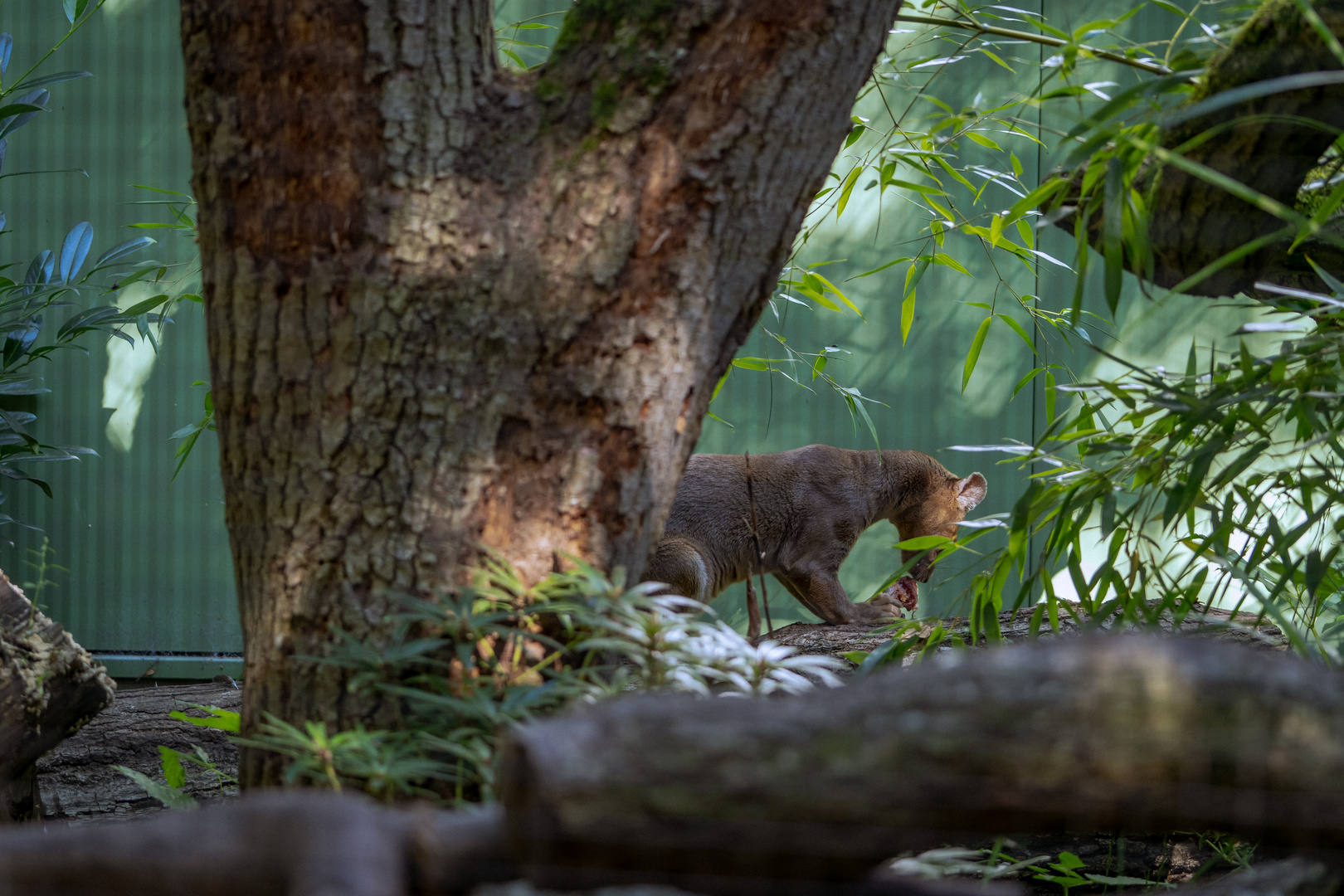 Ein Tag im Tier und Freizeitpark Thüle