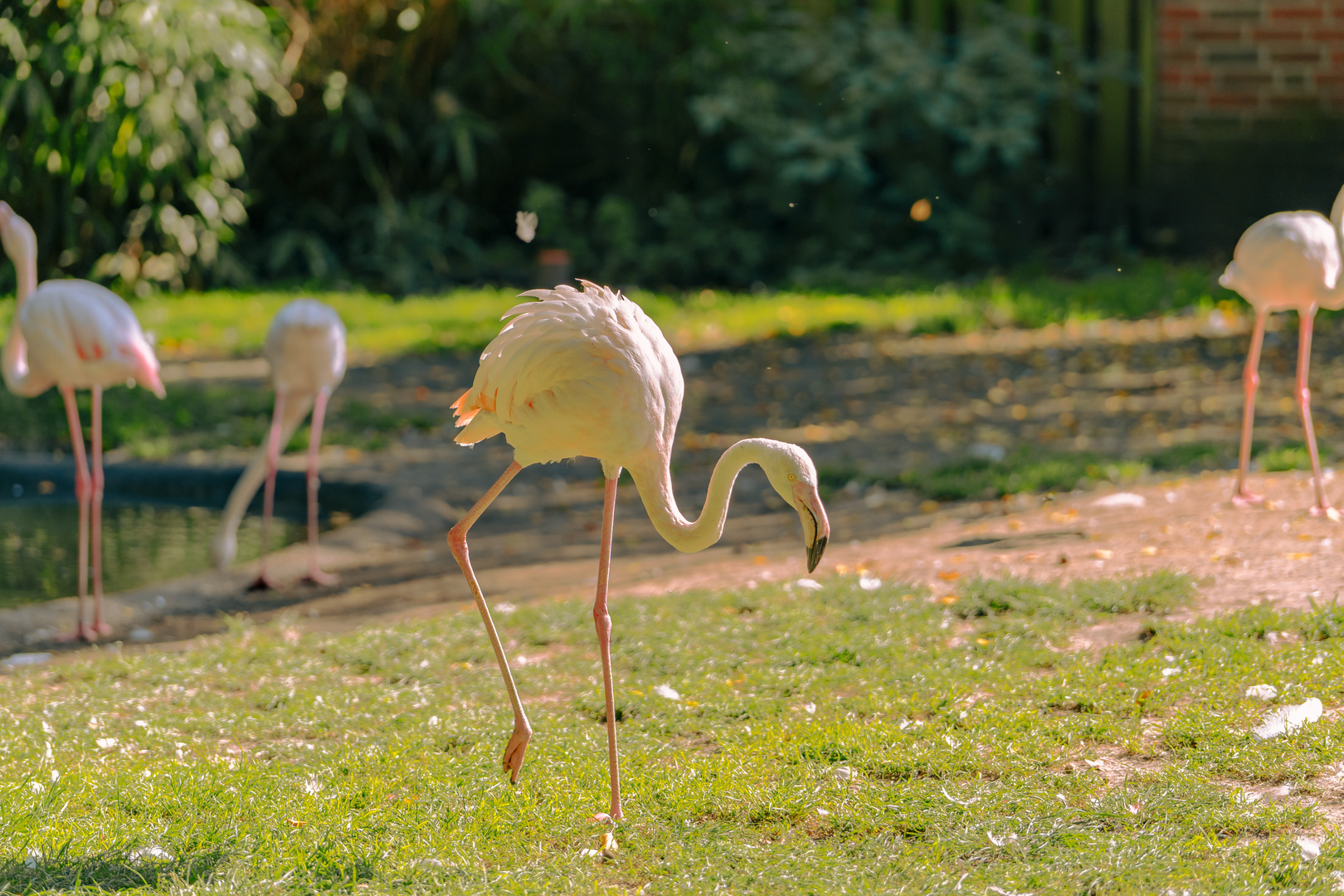 Ein Tag im Tier und Freizeitpark Thüle