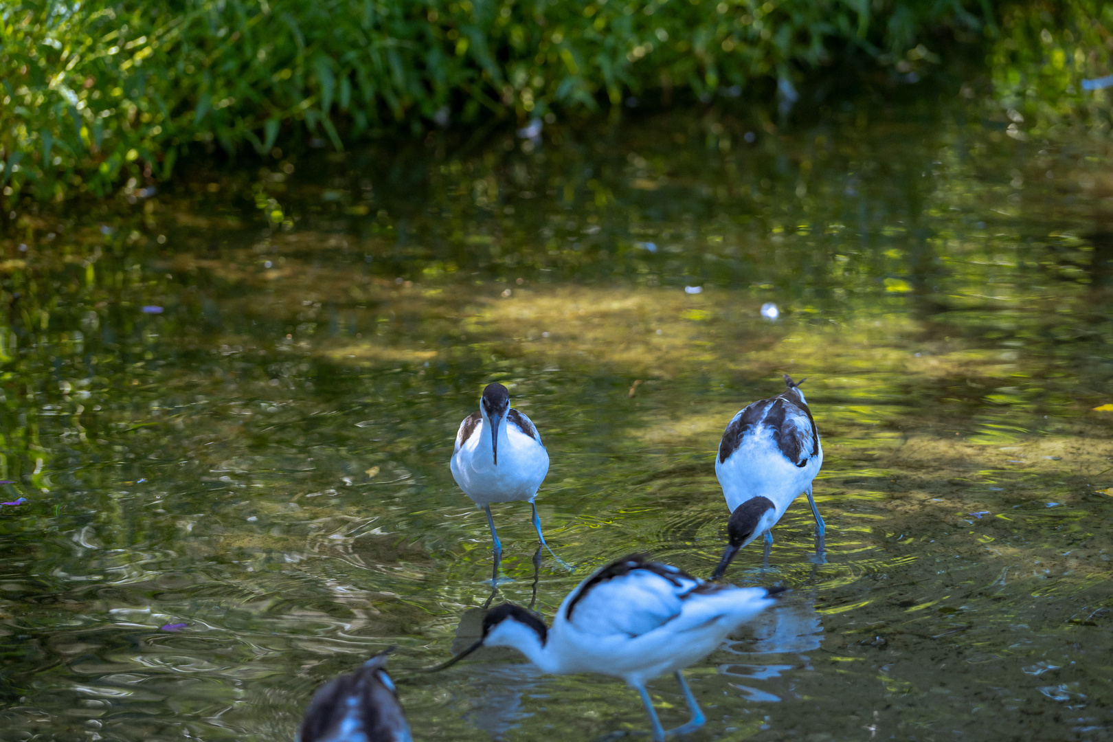 Ein Tag im Tier und Freizeitpark Thüle